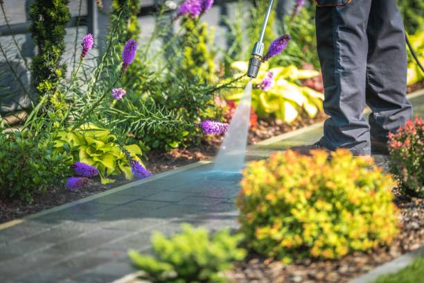 Best Sidewalk and Walkway Pressure Cleaning in Ogden, IA